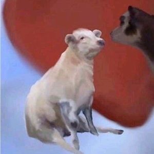 Meet your Posher, Ninoshka